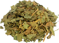 Cereza de café orgánico